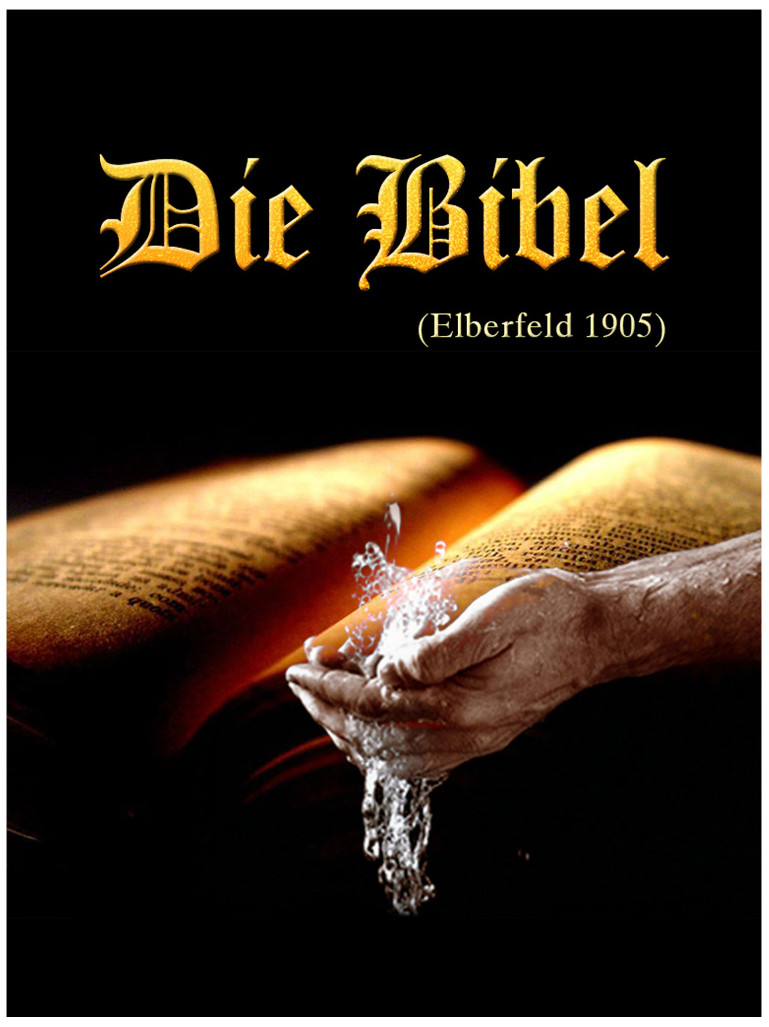 This image is the cover for the book Die Bibel, Elberfeld, 1905, Classics To Go