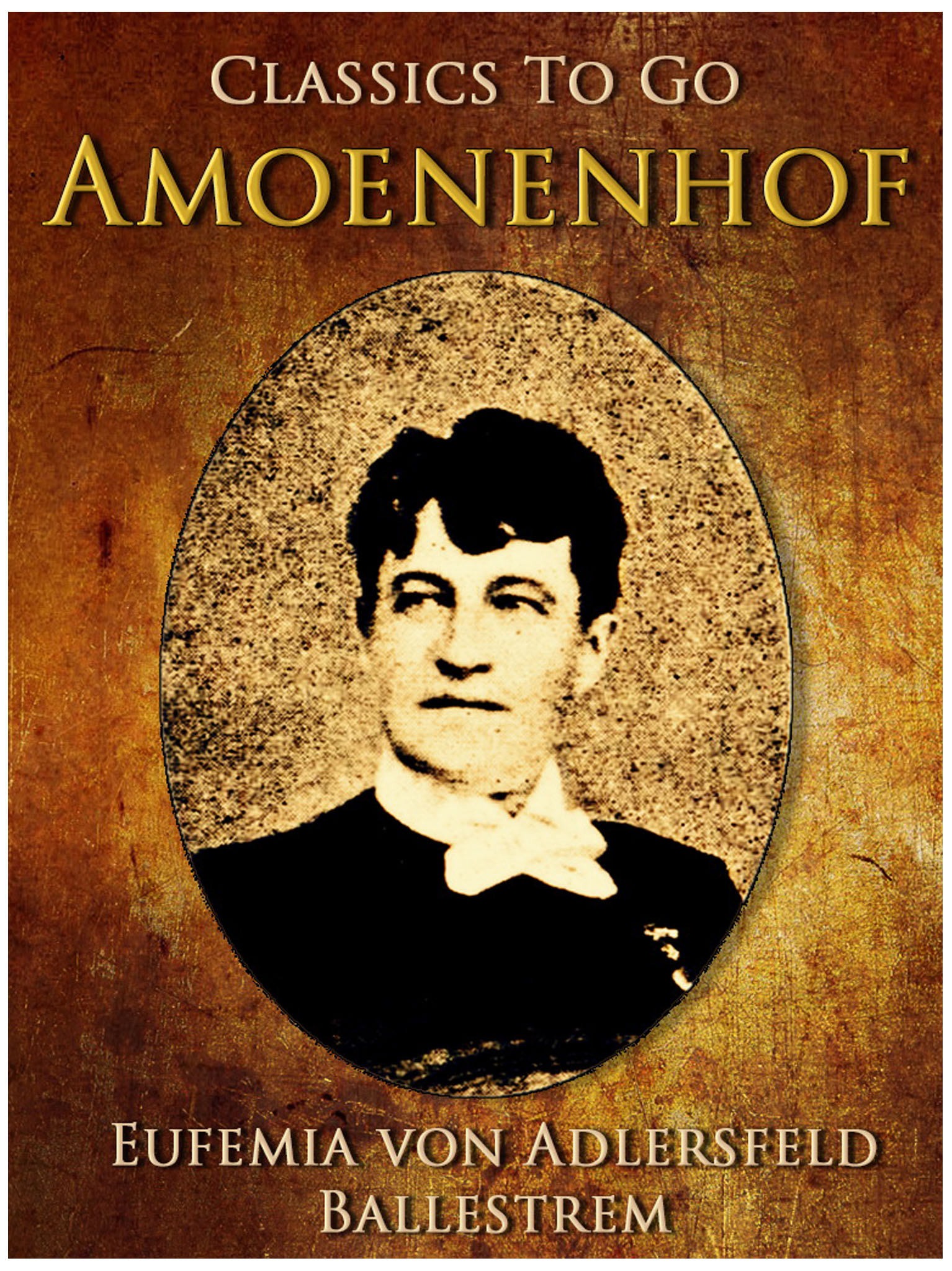 This image is the cover for the book Amönenhof, Classics To Go