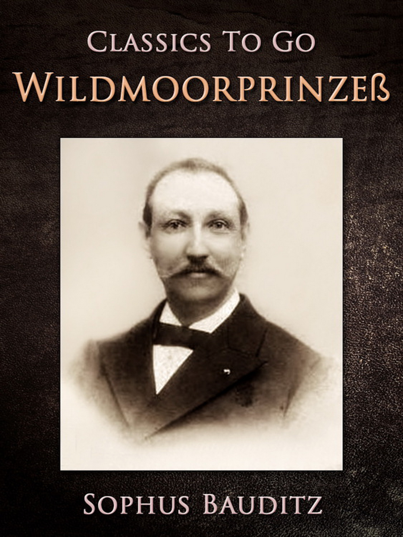 This image is the cover for the book Wildmoorprinzeß, Classics To Go