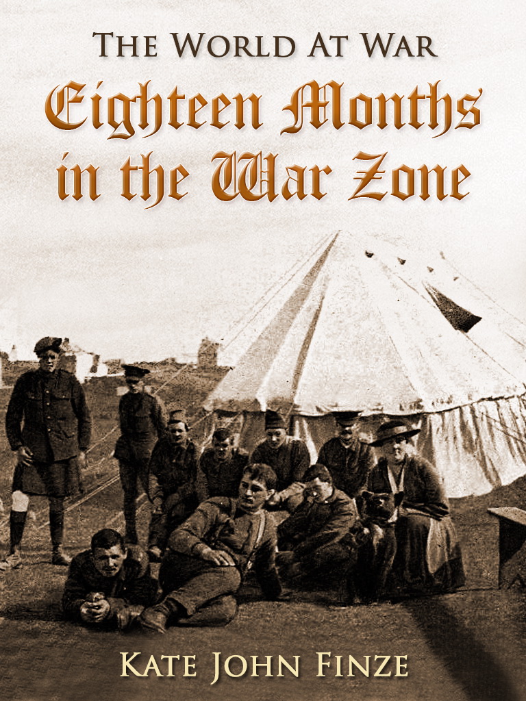 This image is the cover for the book Eighteen Months in the War Zone, The World At War