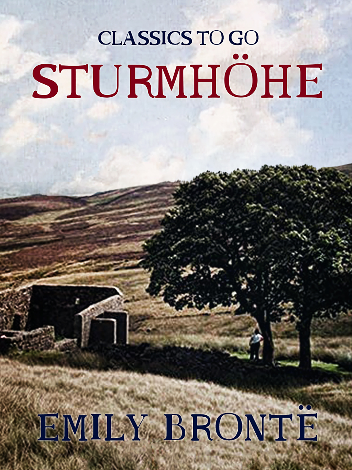 This image is the cover for the book Sturmhöhe, Classics To Go