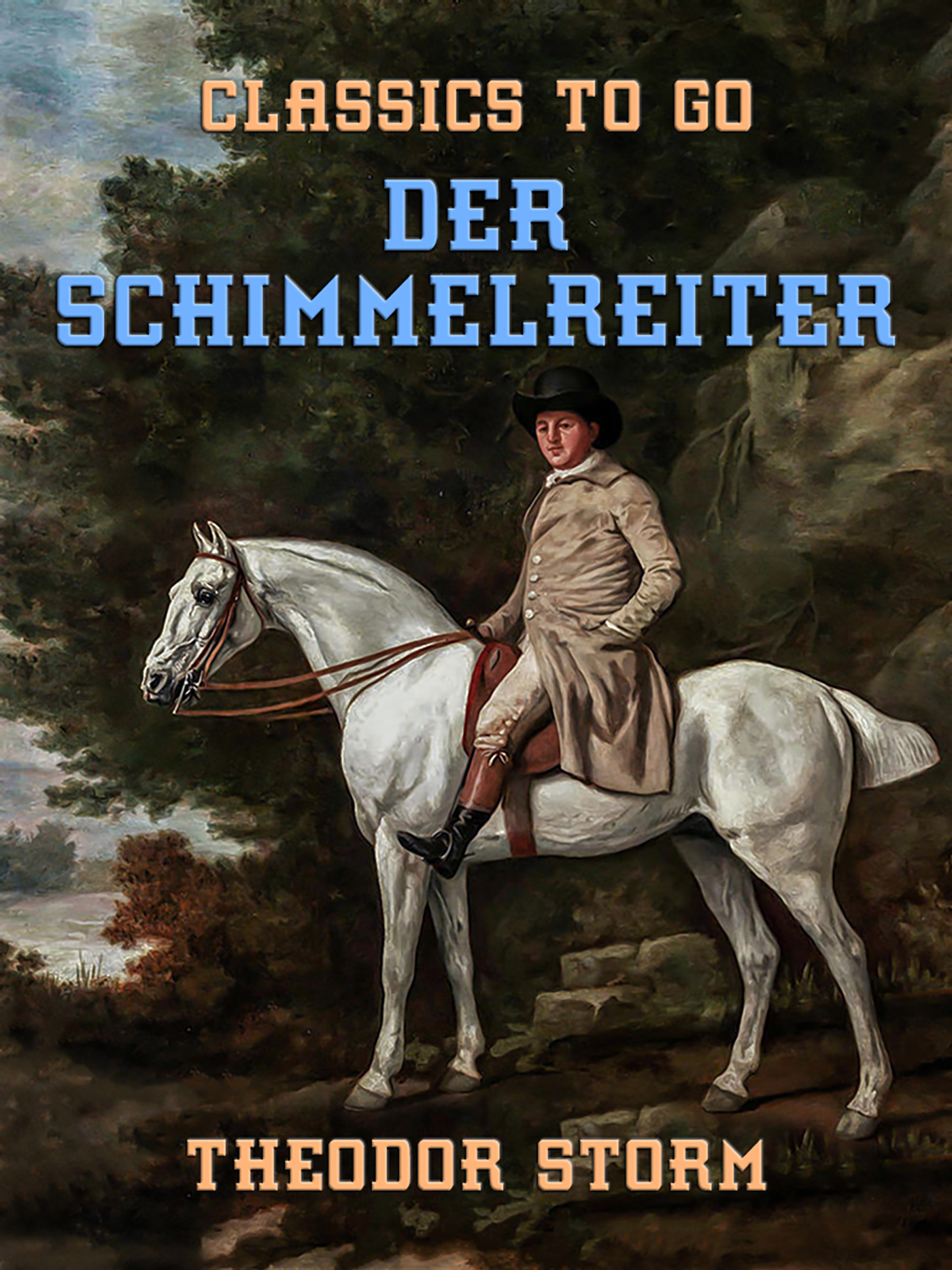 This image is the cover for the book Der Schimmelreiter, Classics To Go