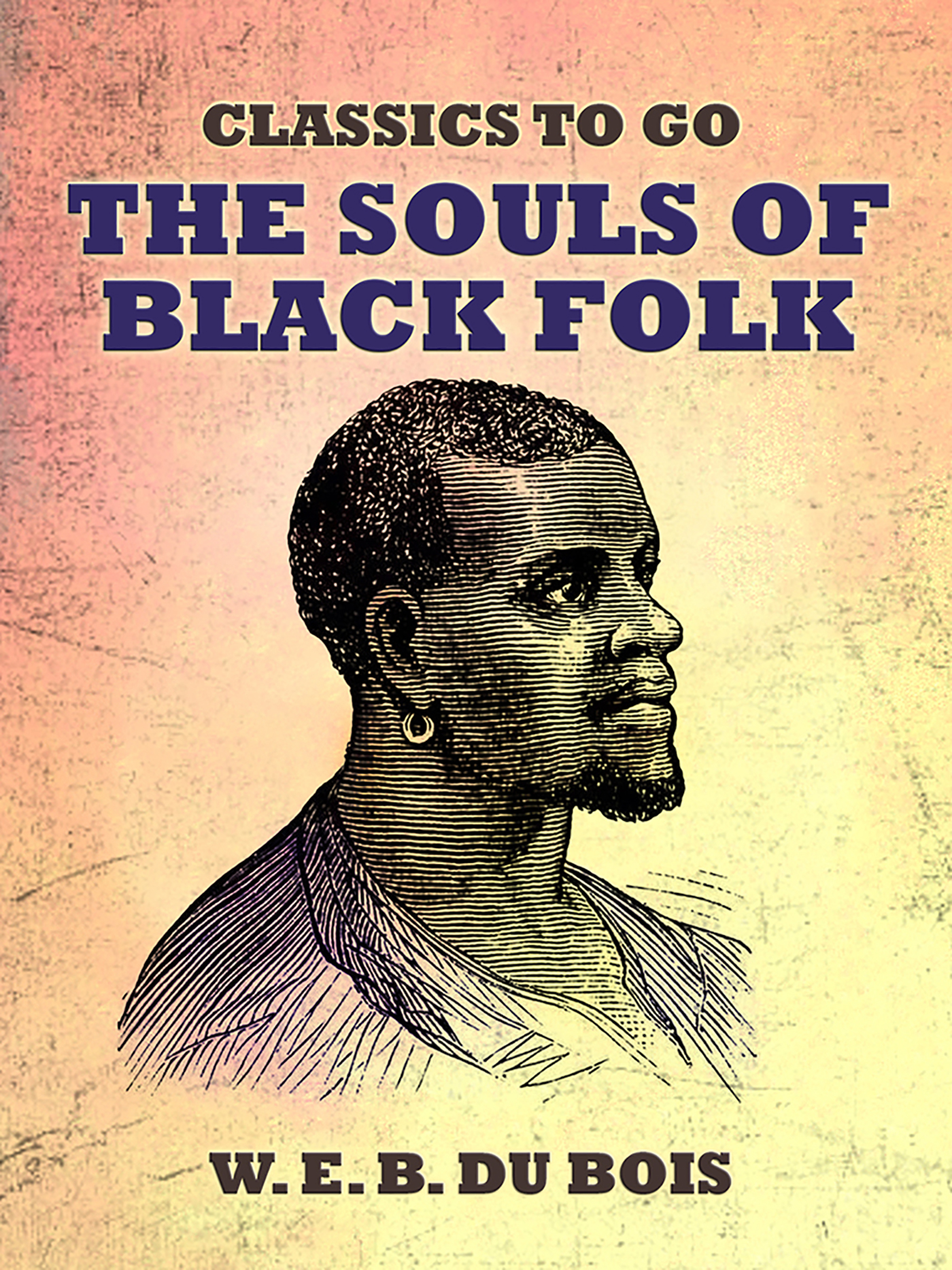 This image is the cover for the book The Souls Of Black Folk, Classics To Go