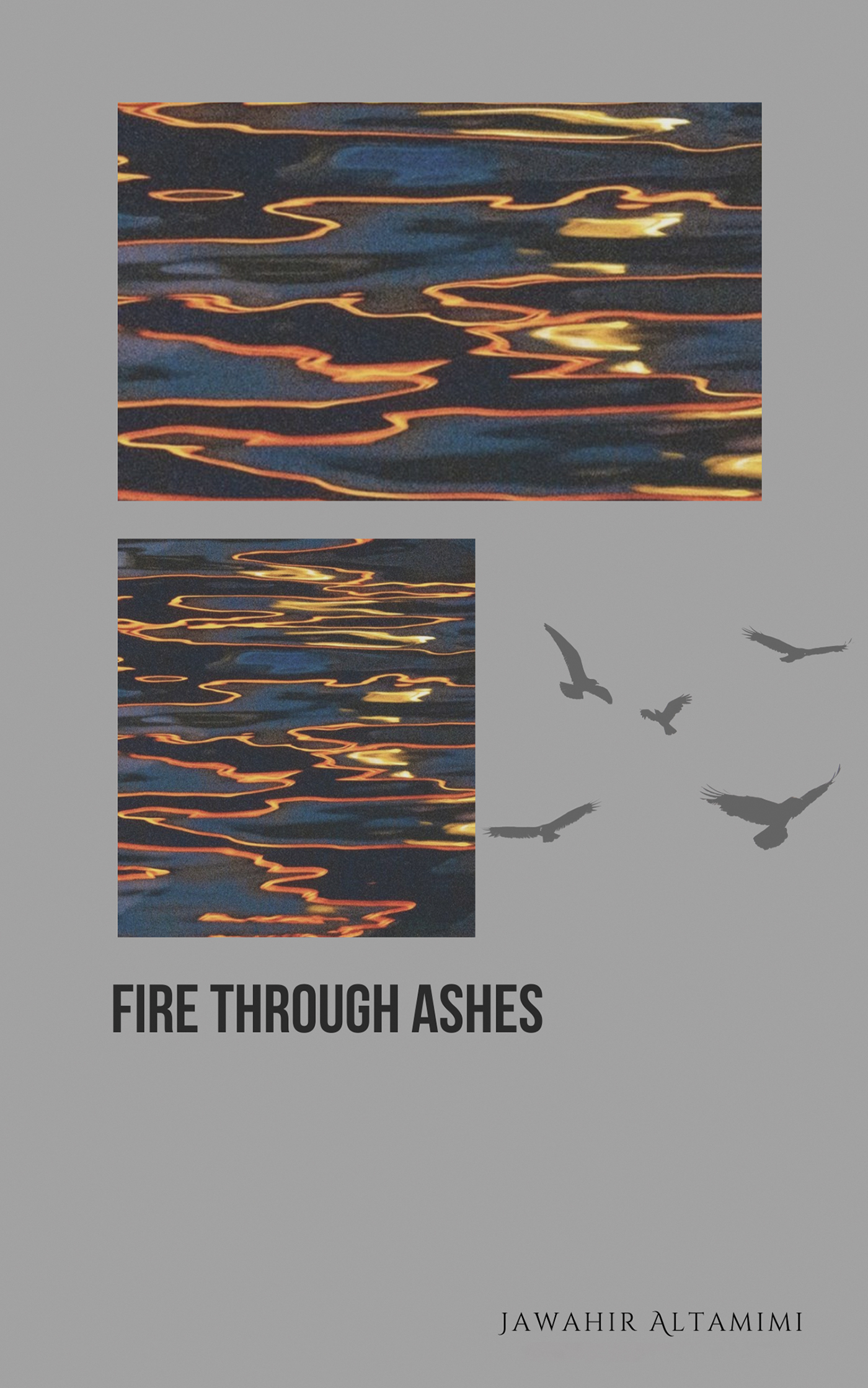 This image is the cover for the book Fire through Ashes