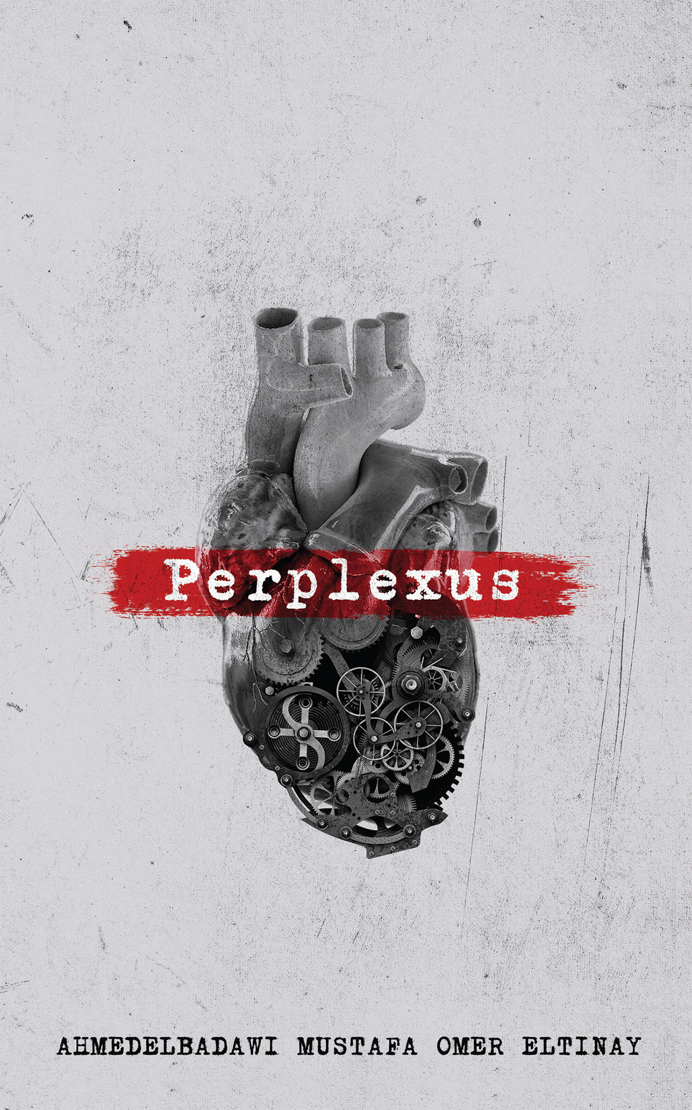 This image is the cover for the book Perplexus