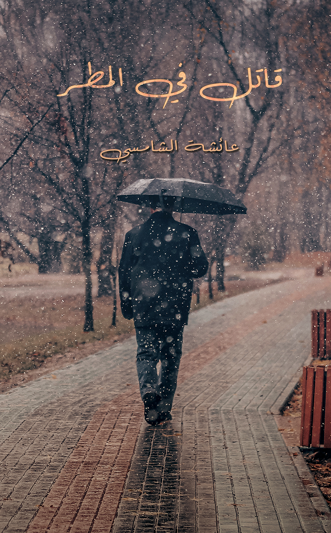 This image is the cover for the book قاتل في المطر