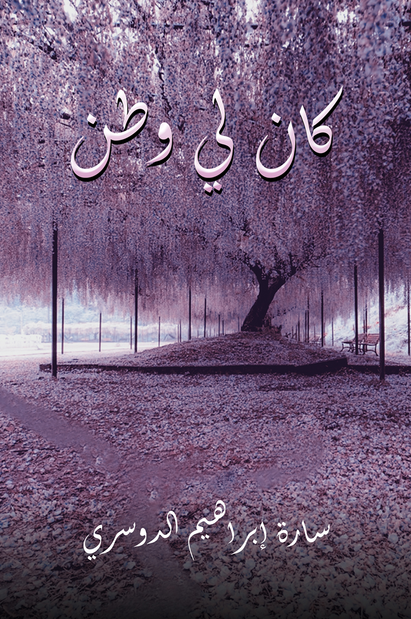 This image is the cover for the book كان لي وطن