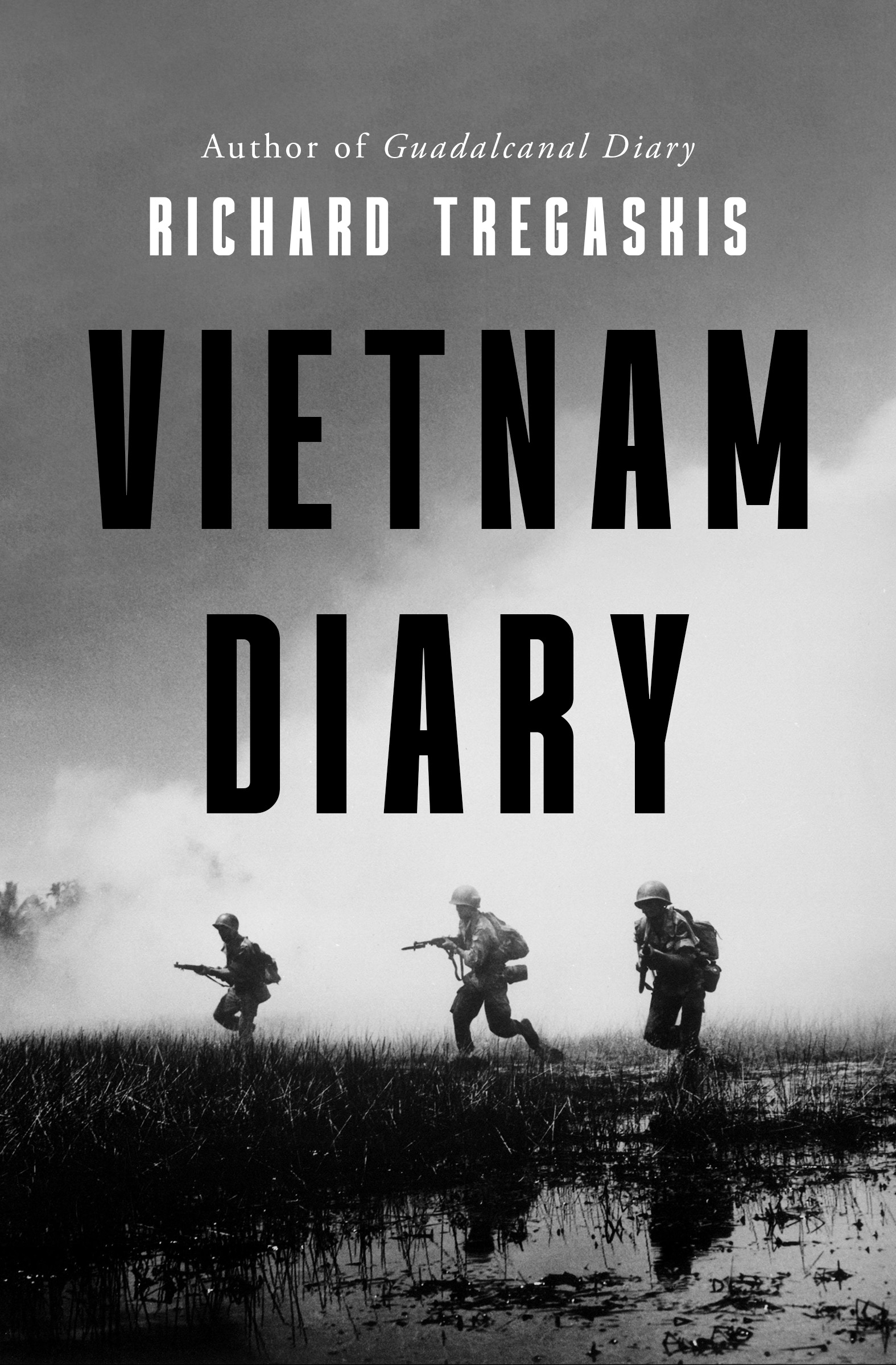 This image is the cover for the book Vietnam Diary