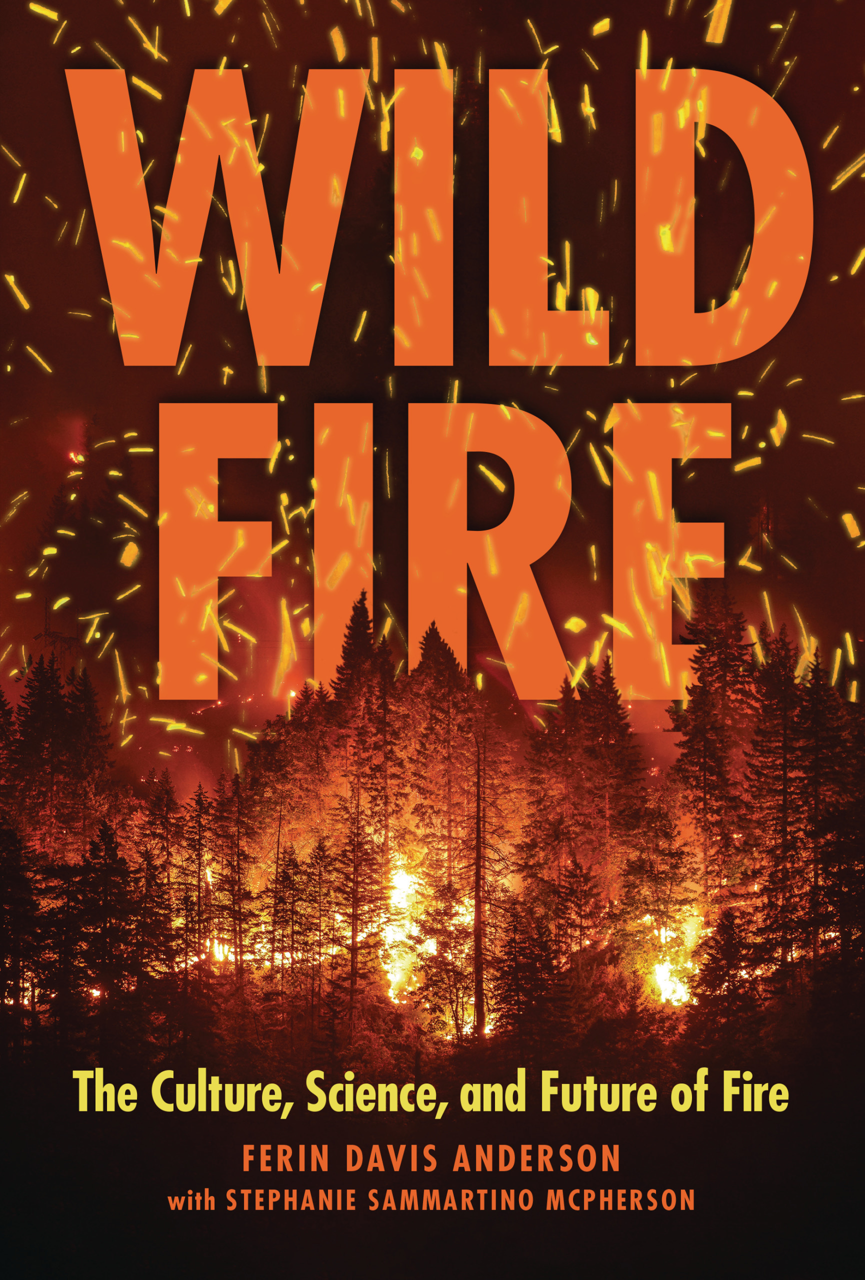 This image is the cover for the book Wildfire