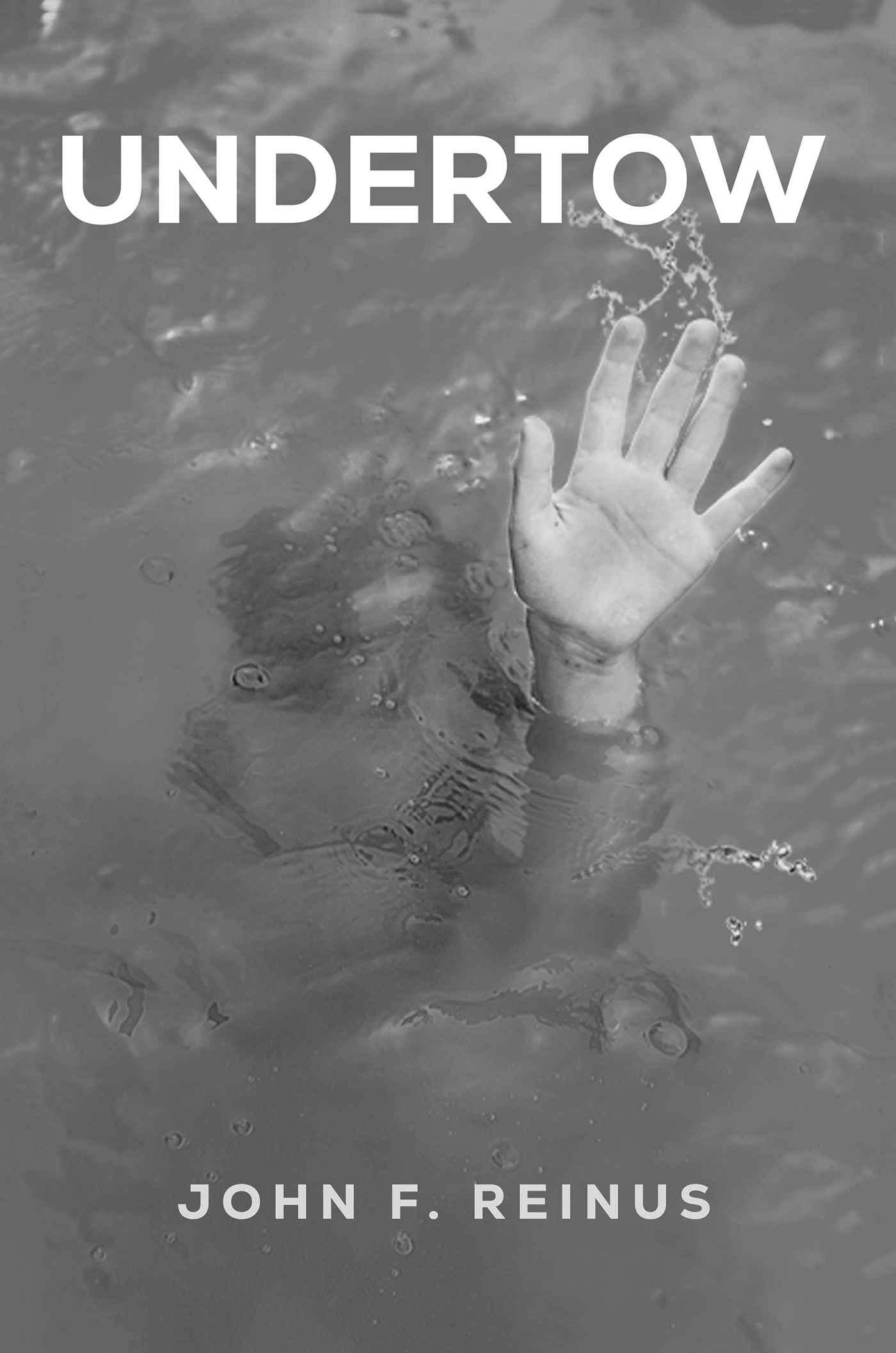 This image is the cover for the book Undertow