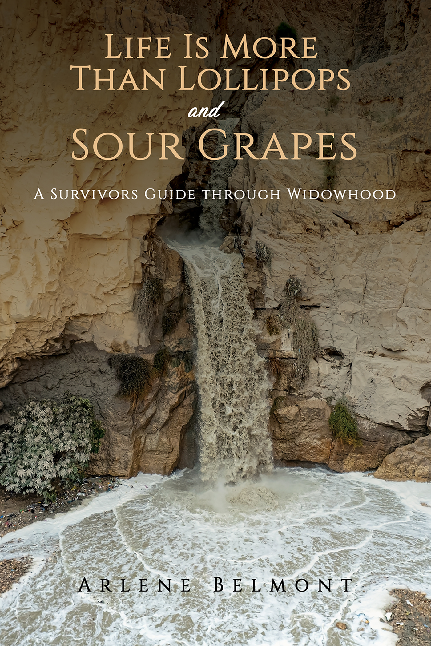 This image is the cover for the book Life Is More Than Lollipops and Sour Grapes