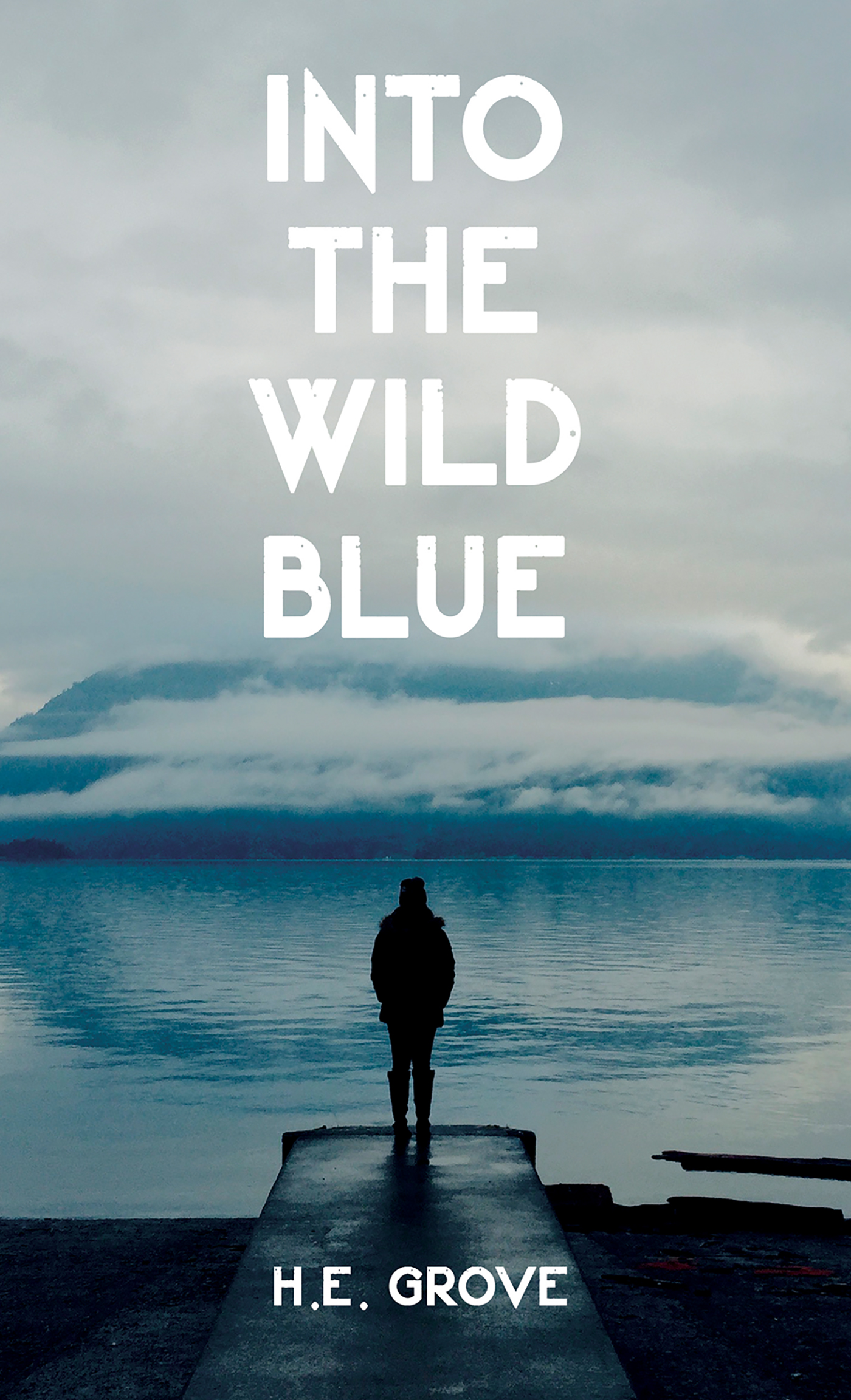 This image is the cover for the book Into the Wild Blue