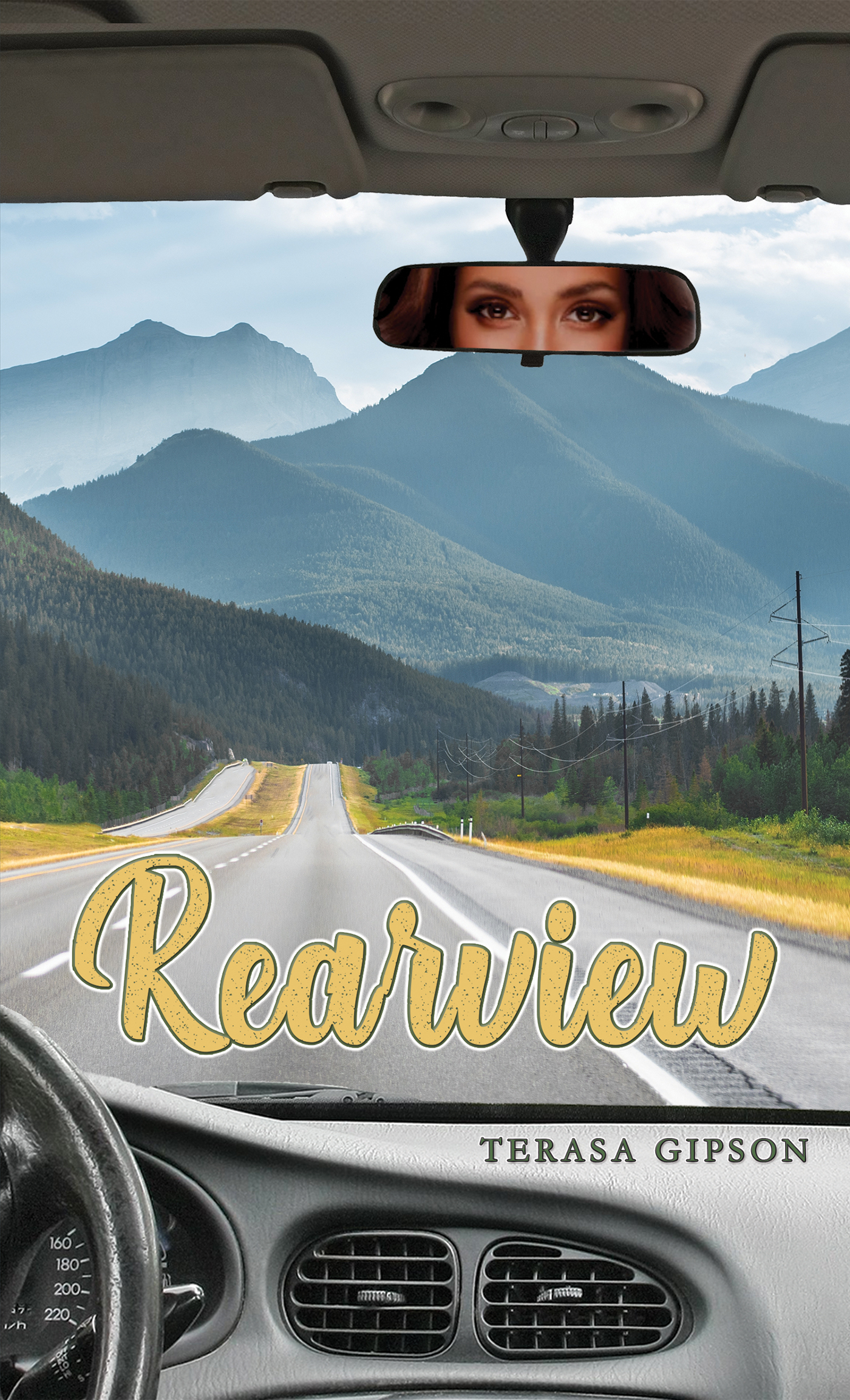 This image is the cover for the book Rearview