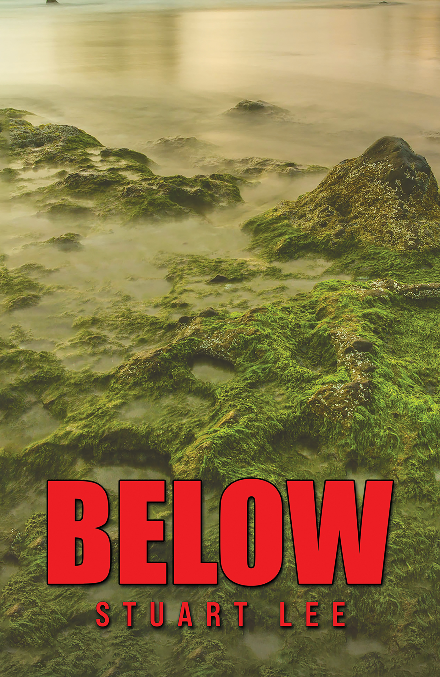 This image is the cover for the book Below