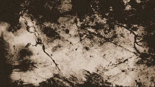 Texture of /grunge/grunge-paper/grunge-paper_0009_02