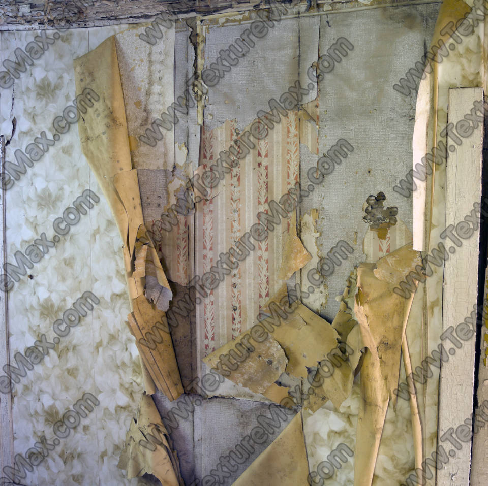 Texture of /paper/decorative-paper/decorative-paper_0014_01