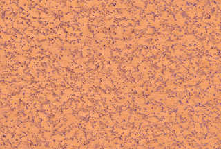 Decorative paper 0016 