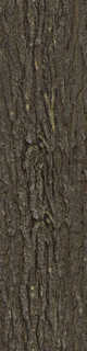 Texture of /plants/rough-tree-bark/rough-tree-bark_0032_01_S