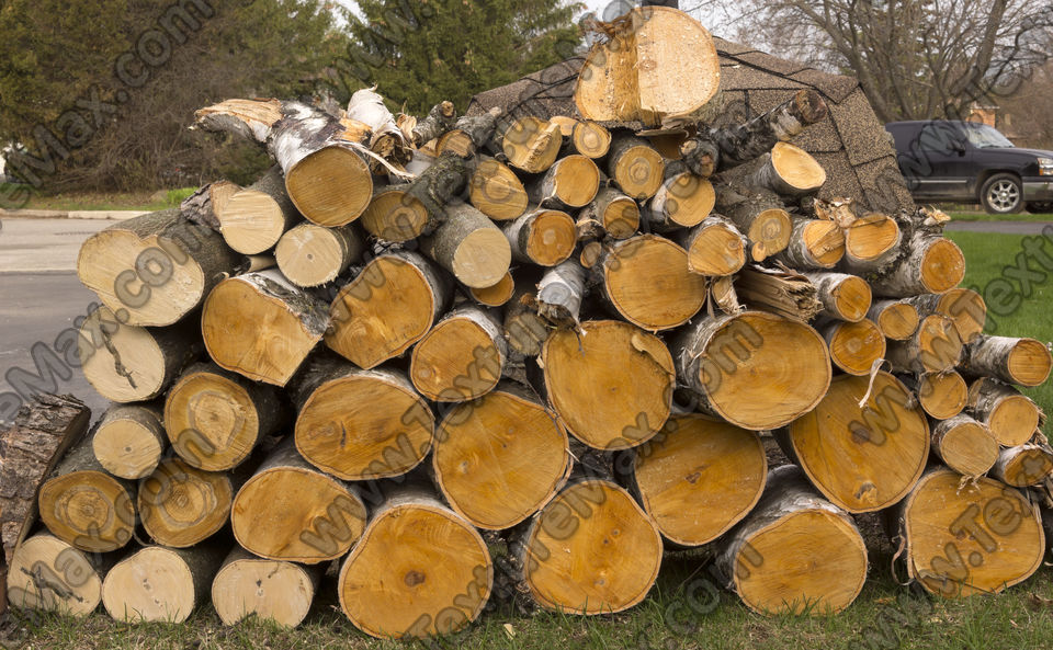 Texture of /plants/tree-roots-and-stumps/tree-roots-and-stumps_0069_01