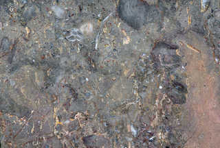 Texture of /rock-and-stones/marble-and-quartz/marble-and-quartz_0023_02