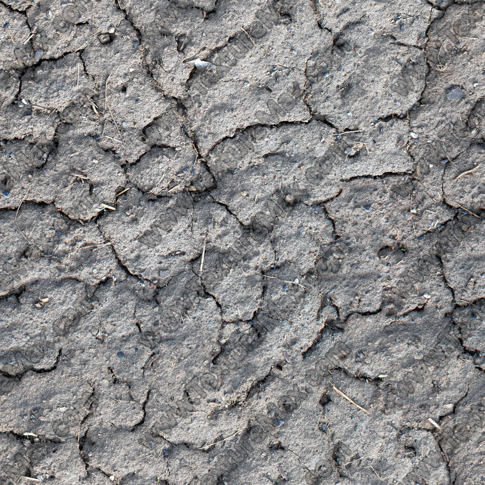Texture of /terrain/cracked-mud-terrain/cracked-mud-terrain_0036_01_S