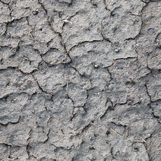 Texture of /terrain/cracked-mud-terrain/cracked-mud-terrain_0036_01_S