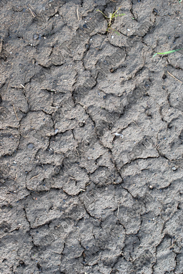 Texture of /terrain/cracked-mud-terrain/cracked-mud-terrain_0036_01