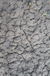 Cracked Mud Terrain 0036