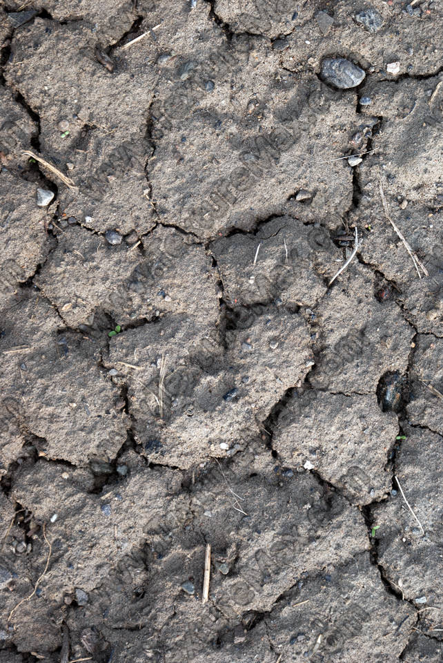 Texture of /terrain/cracked-mud-terrain/cracked-mud-terrain_0036_02