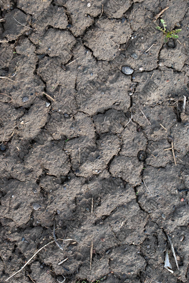 Texture of /terrain/cracked-mud-terrain/cracked-mud-terrain_0036_03