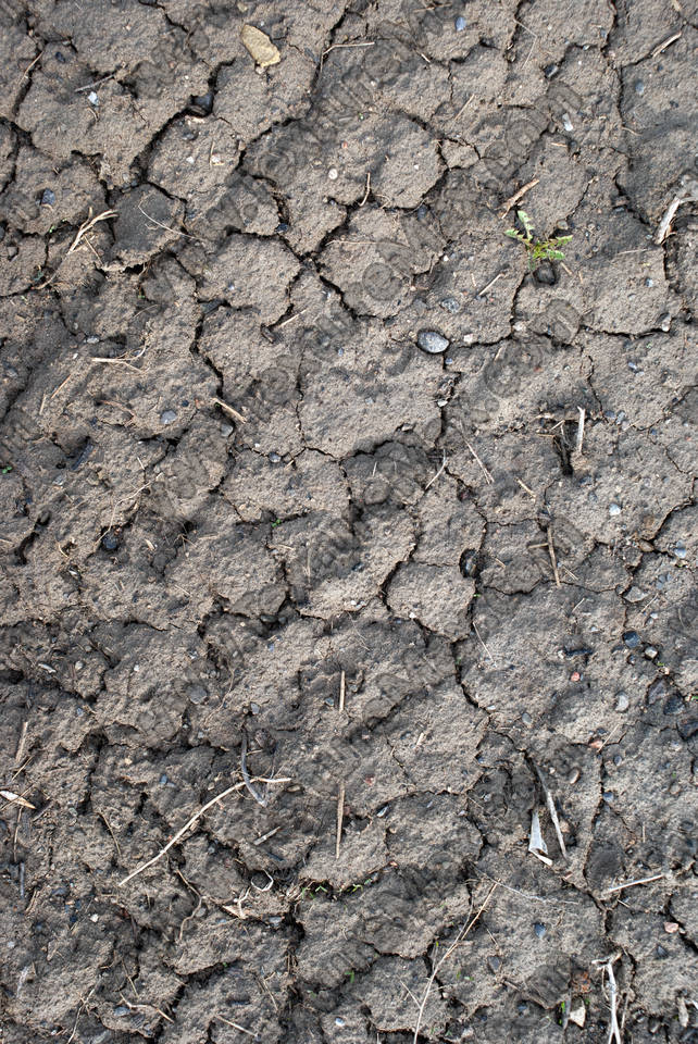 Texture of /terrain/cracked-mud-terrain/cracked-mud-terrain_0036_04