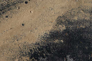 Texture of /terrain/dirt-and-mud-terrain/dirt-and-mud-terrain_0003_04