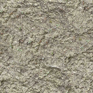 Texture of /terrain/dirt-and-mud-terrain/dirt-and-mud-terrain_0015_01_S