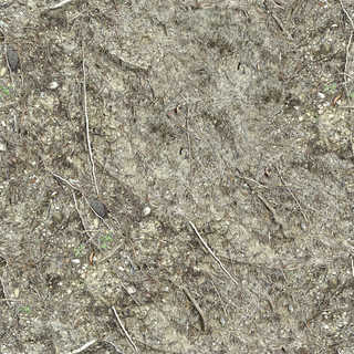 Texture of /terrain/dirt-and-mud-terrain/dirt-and-mud-terrain_0015_03_S