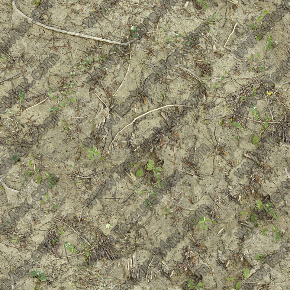 Texture of /terrain/dirt-and-mud-terrain/dirt-and-mud-terrain_0018_02_S