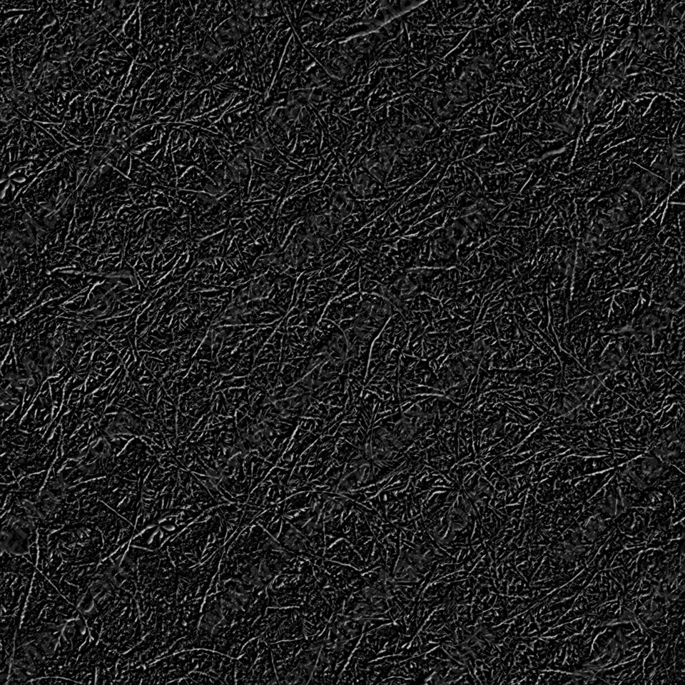 Texture of /terrain/forest-floor-terrain/forest-floor-terrain_0071_01_S_SPEC