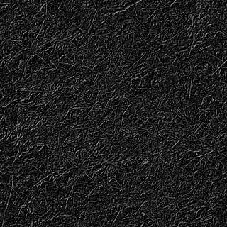 Texture of /terrain/forest-floor-terrain/forest-floor-terrain_0071_01_S_SPEC