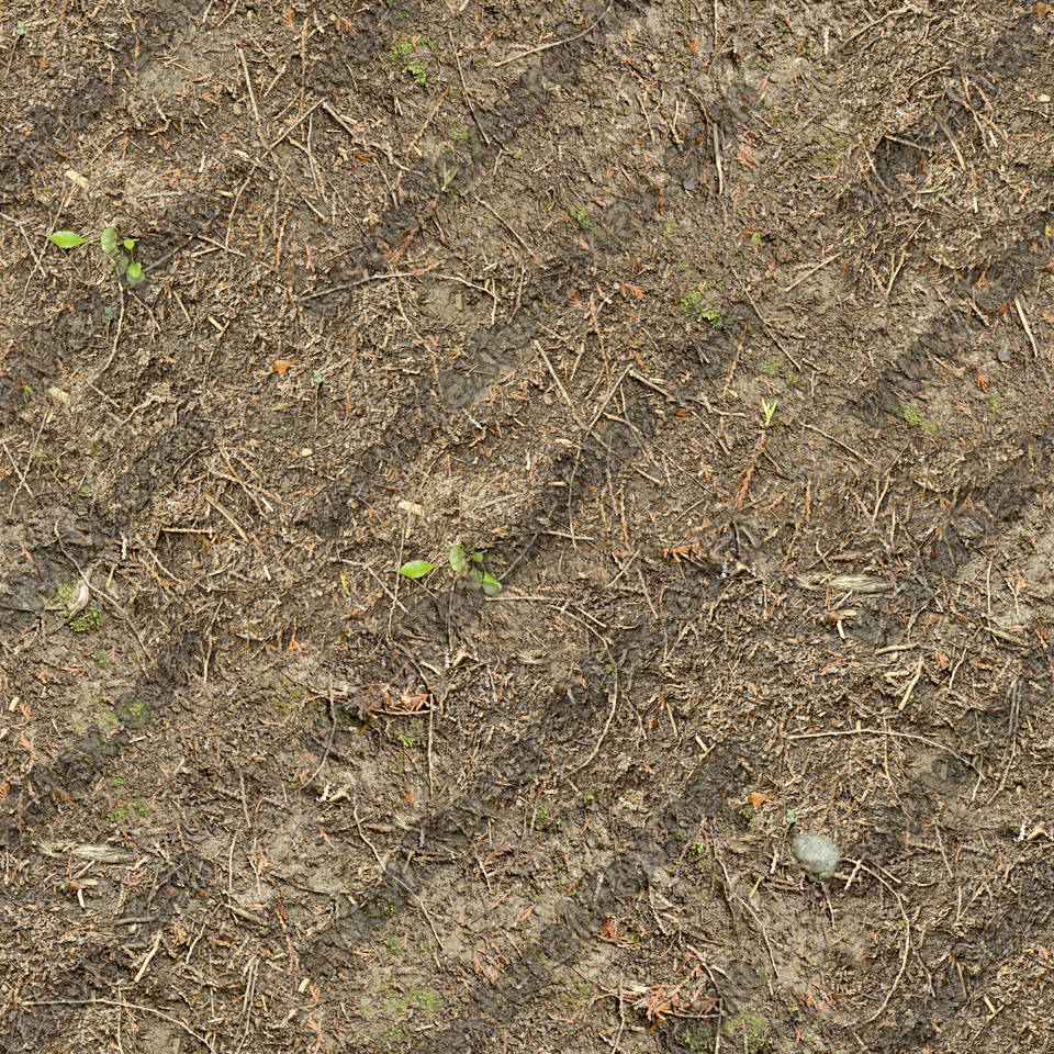 Texture of /terrain/forest-floor-terrain/forest-floor-terrain_0072_01_S