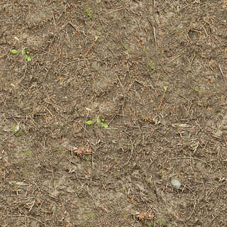 Texture of /terrain/forest-floor-terrain/forest-floor-terrain_0072_01_S