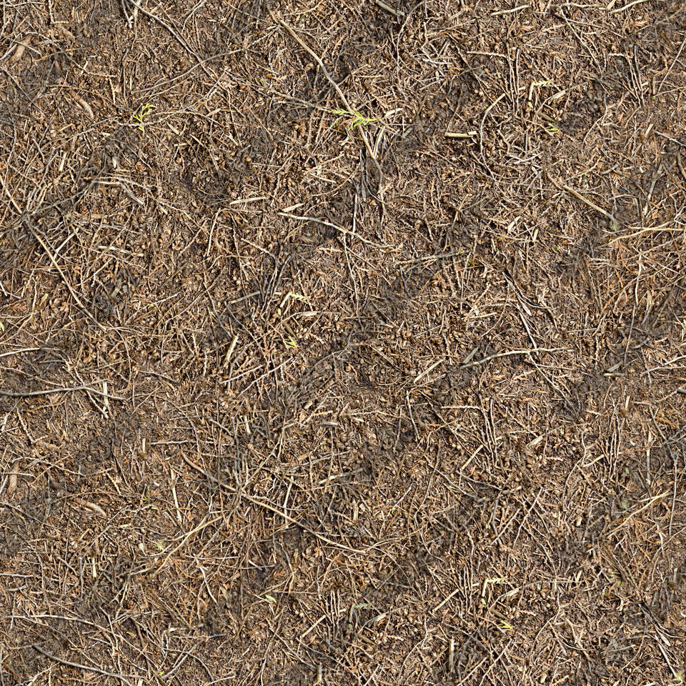 Texture of /terrain/forest-floor-terrain/forest-floor-terrain_0073_01_S