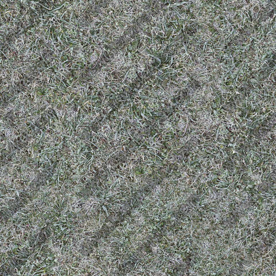 Texture of /terrain/frost-terrain/frost-terrain_0003_02_S