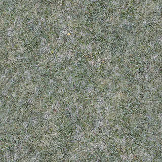Texture of /terrain/frost-terrain/frost-terrain_0003_03_S