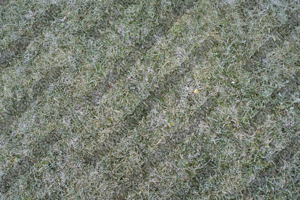 Texture of /terrain/frost-terrain/frost-terrain_0003_03