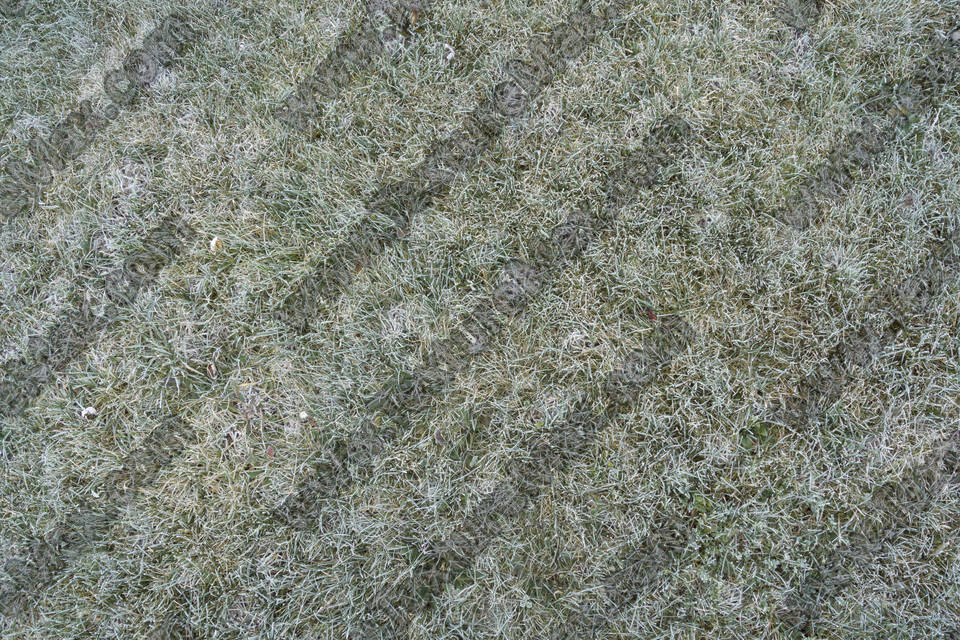 Texture of /terrain/frost-terrain/frost-terrain_0003_04