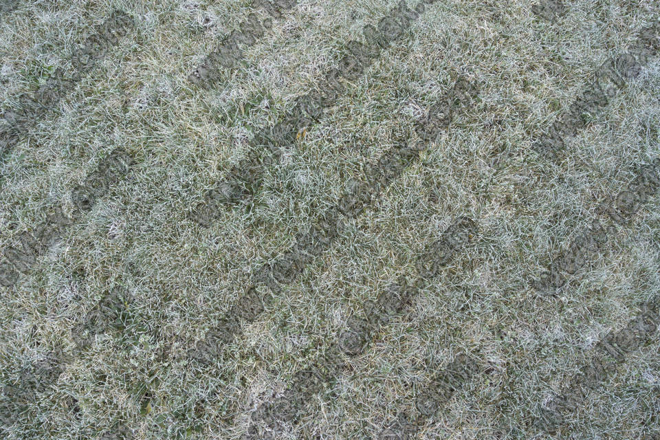 Texture of /terrain/frost-terrain/frost-terrain_0003_08