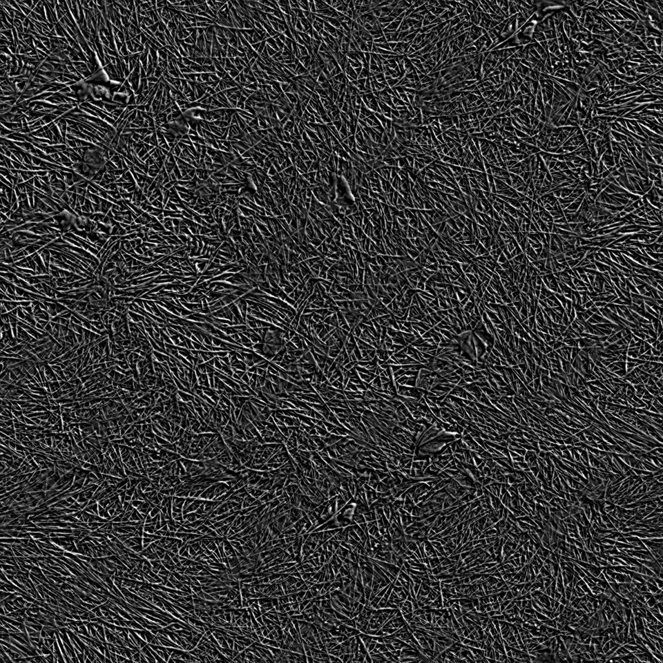 Texture of /terrain/frost-terrain/frost-terrain_0004_01_S_SPEC