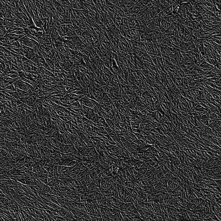 Texture of /terrain/frost-terrain/frost-terrain_0004_01_S_SPEC