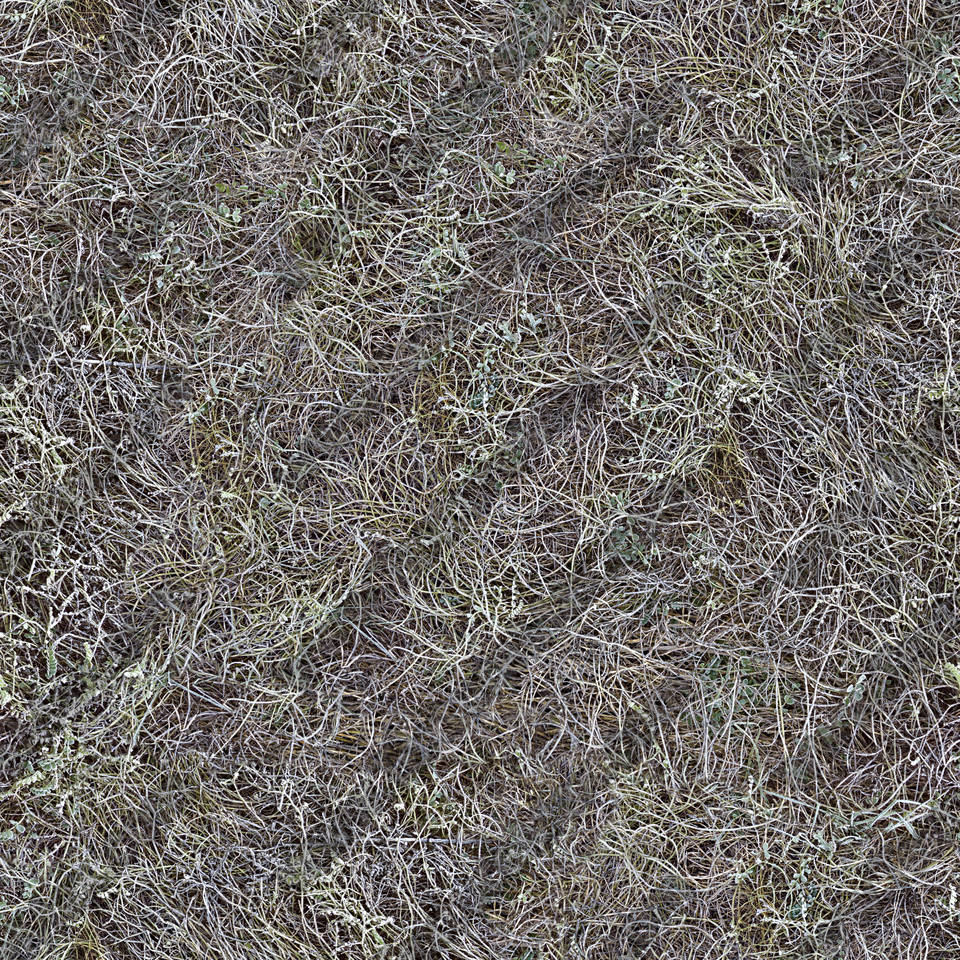 Texture of /terrain/frost-terrain/frost-terrain_0005_03_S