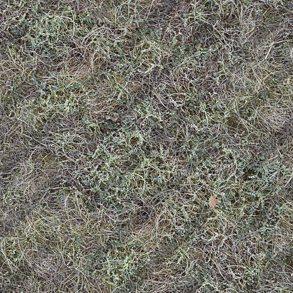 Texture of /terrain/frost-terrain/frost-terrain_0005_04_S