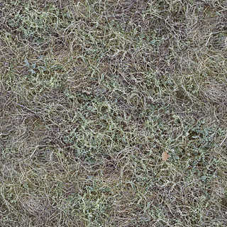 Texture of /terrain/frost-terrain/frost-terrain_0005_04_S